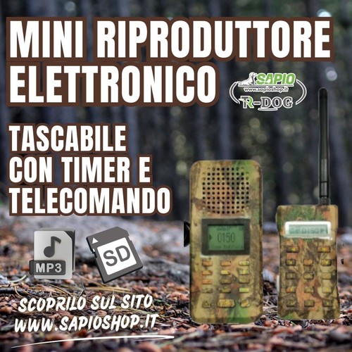 Mini riproduttore elettronico